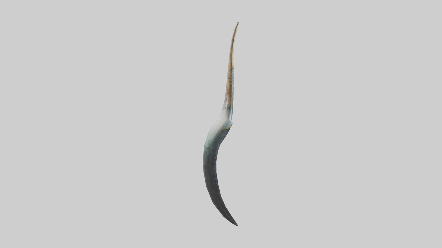 3D model Narwhal Horn VR / AR / low-poly