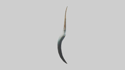 3D model Narwhal Horn VR / AR / low-poly