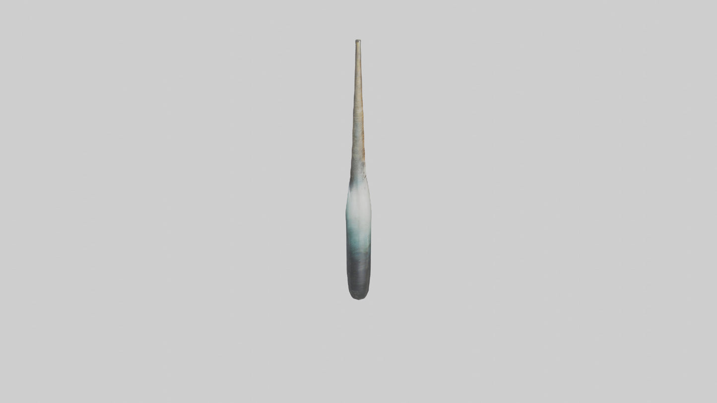 3D model Narwhal Horn VR / AR / low-poly