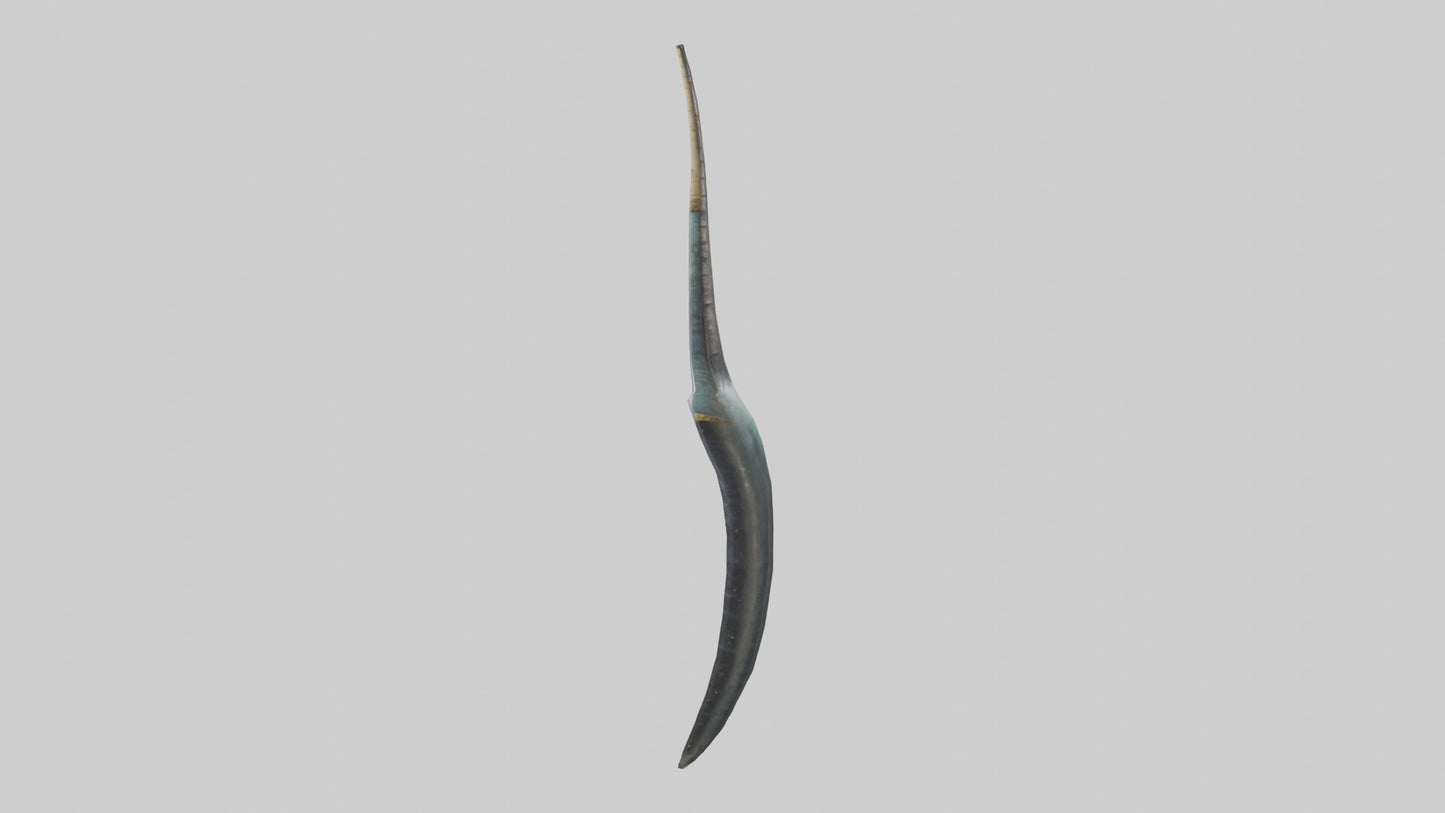 3D model Narwhal Horn VR / AR / low-poly