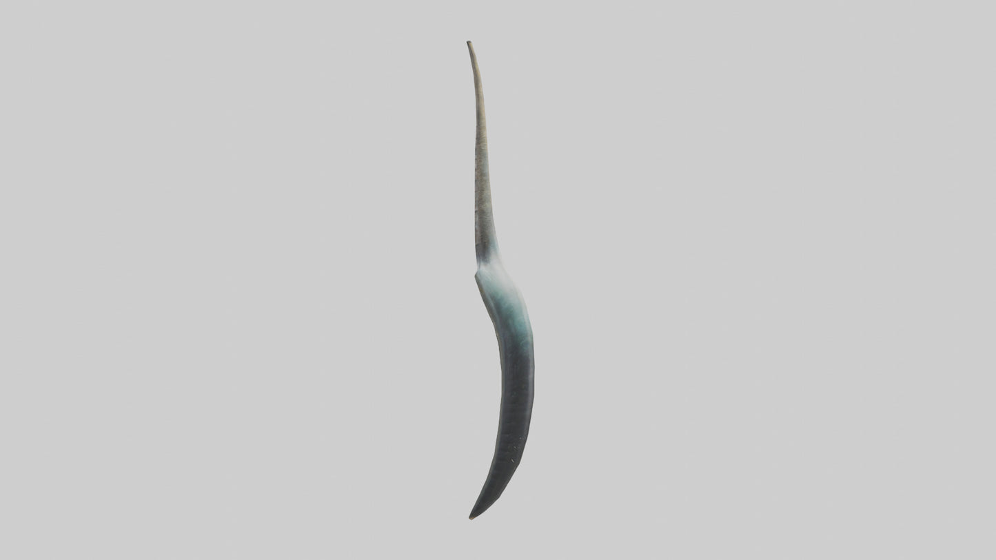 3D model Narwhal Horn VR / AR / low-poly