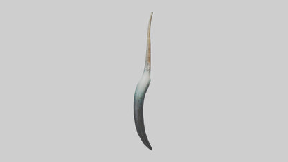 3D model Narwhal Horn VR / AR / low-poly