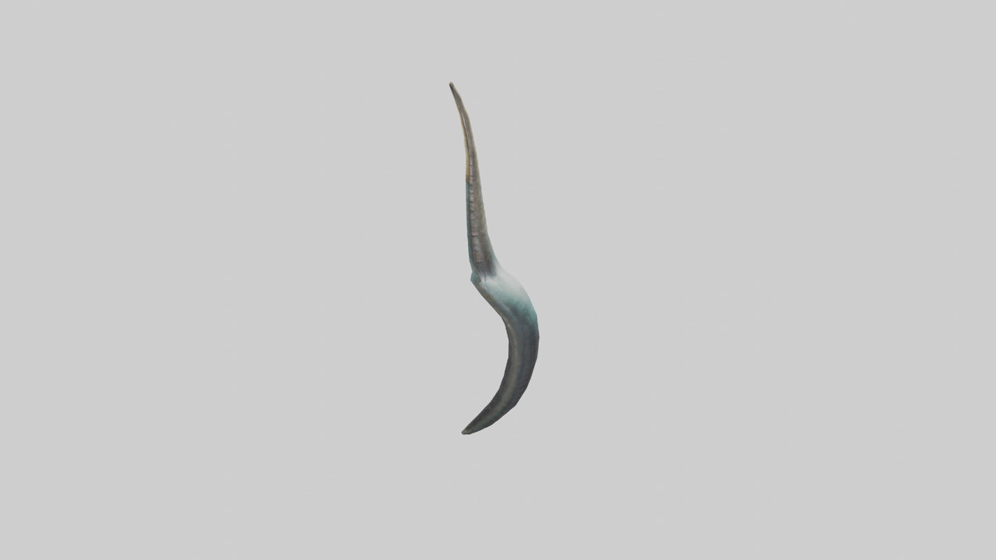 3D model Narwhal Horn VR / AR / low-poly