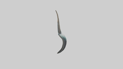 3D model Narwhal Horn VR / AR / low-poly