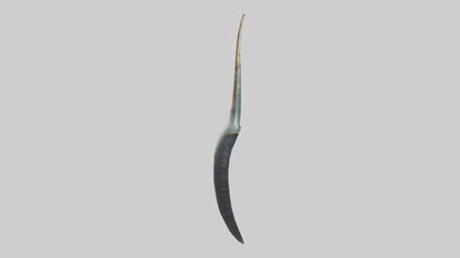3D model Narwhal Horn VR / AR / low-poly