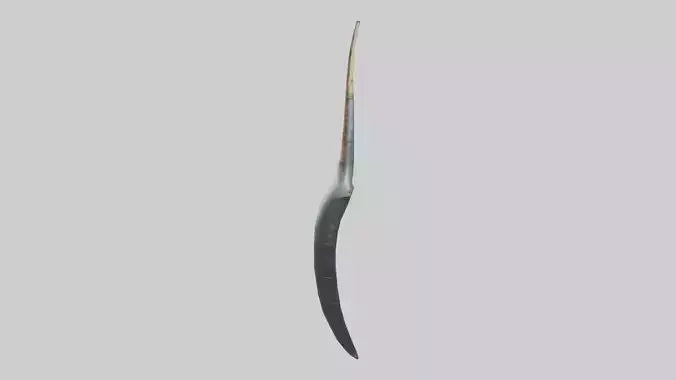3D model Narwhal Horn VR / AR / low-poly