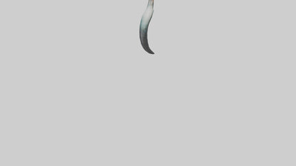 3D model Narwhal Horn VR / AR / low-poly