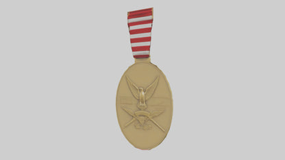 National Defense Medal model VR / AR / low-poly