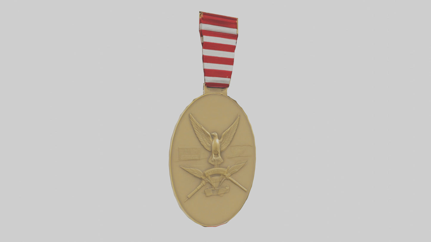 National Defense Medal model VR / AR / low-poly