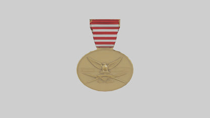 National Defense Medal model VR / AR / low-poly