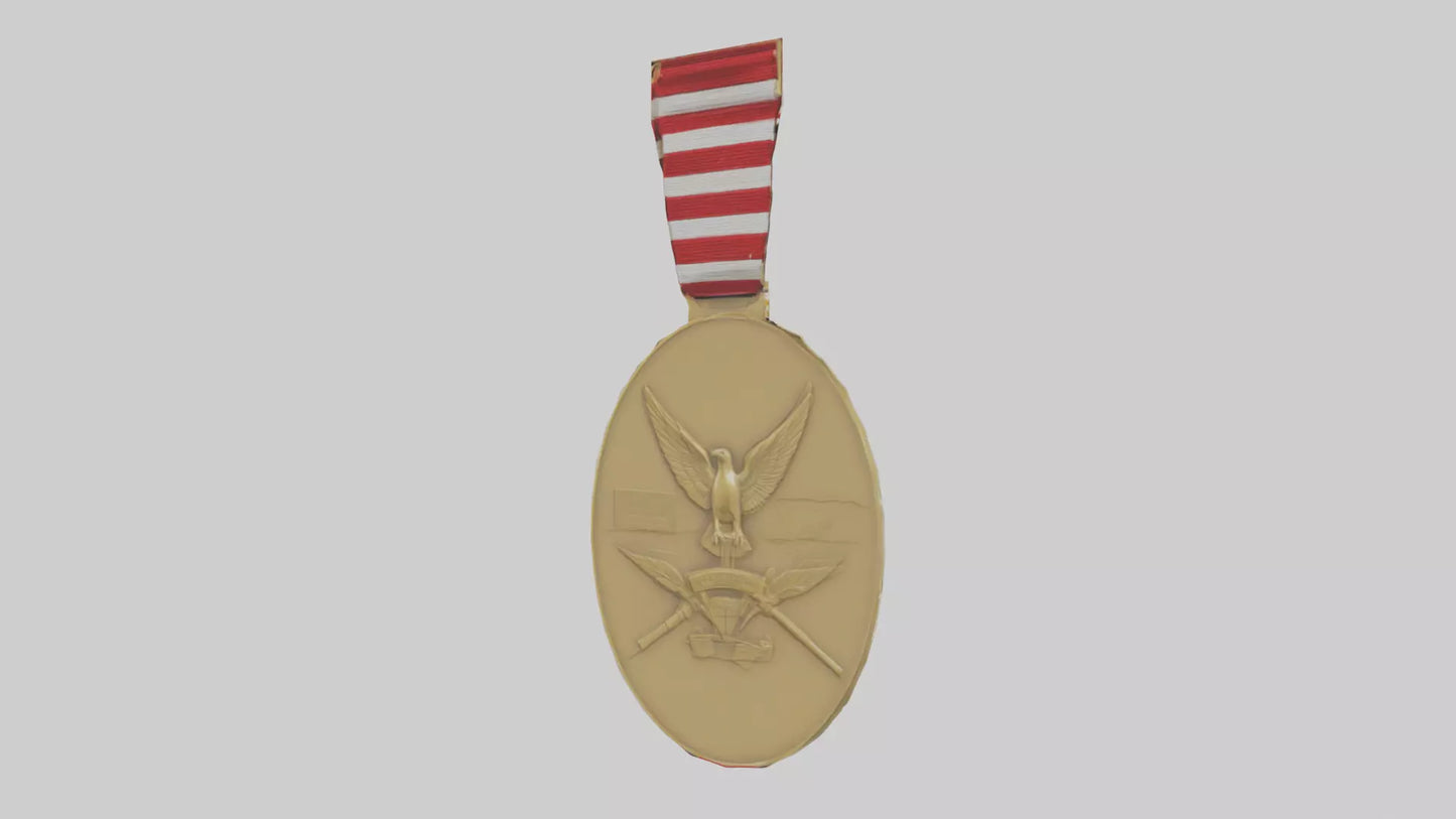 National Defense Medal model VR / AR / low-poly