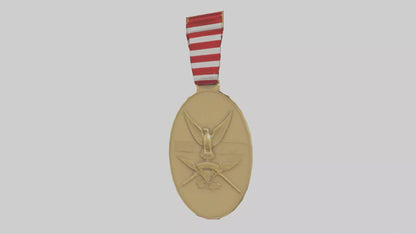 National Defense Medal model VR / AR / low-poly
