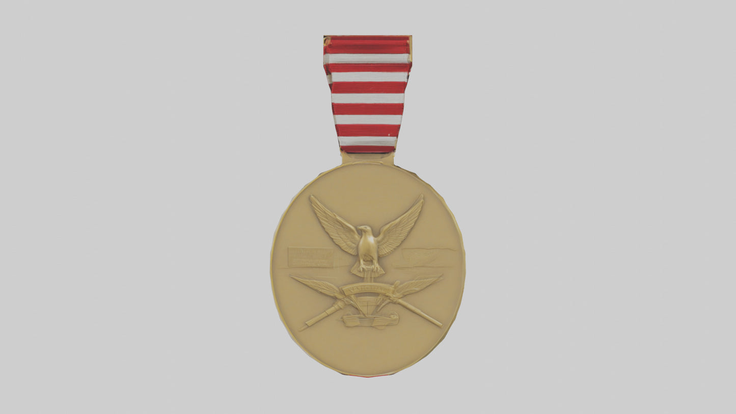 National Defense Medal model VR / AR / low-poly