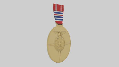 National Defense Medal model VR / AR / low-poly