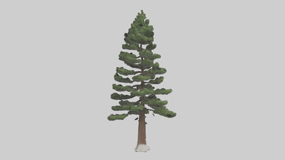 3D model Native Pine tree model VR / AR / low-poly