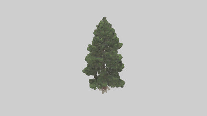 3D model Native Pine tree model VR / AR / low-poly