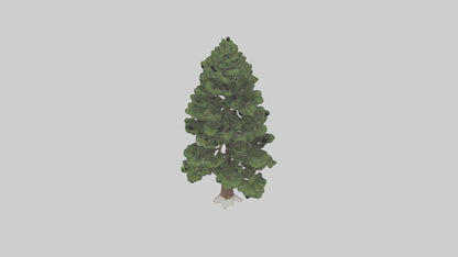 3D model Native Pine tree model VR / AR / low-poly