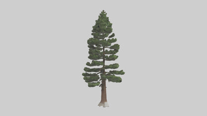 3D model Native Pine tree model VR / AR / low-poly