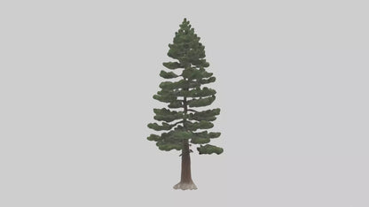 3D model Native Pine tree model VR / AR / low-poly