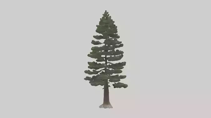 3D model Native Pine tree model VR / AR / low-poly