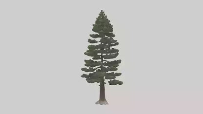 3D model Native Pine tree model VR / AR / low-poly