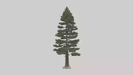 3D model Native Pine tree model VR / AR / low-poly