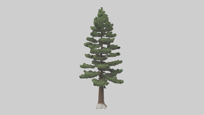 3D model Native Pine tree model VR / AR / low-poly