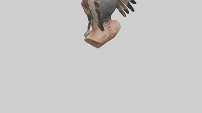 Native Warrior bust model VR / AR / low-poly