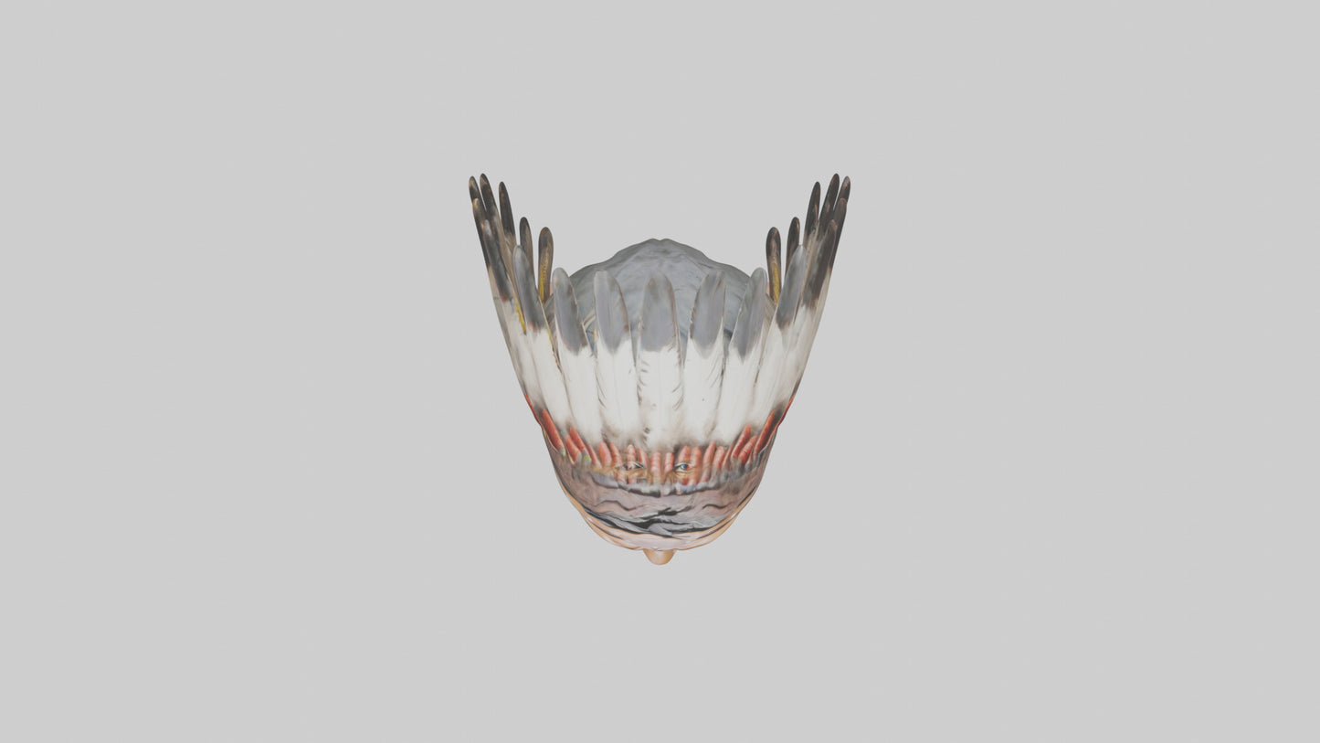 Native Warrior bust model VR / AR / low-poly