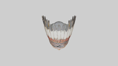 Native Warrior bust model VR / AR / low-poly