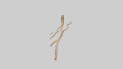 Natural Material Wall Art VR / AR / low-poly