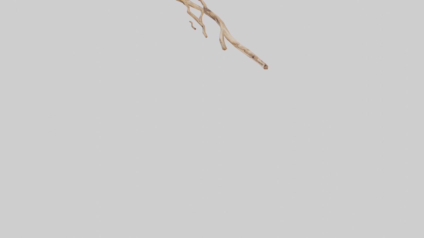 Natural Material Wall Art VR / AR / low-poly