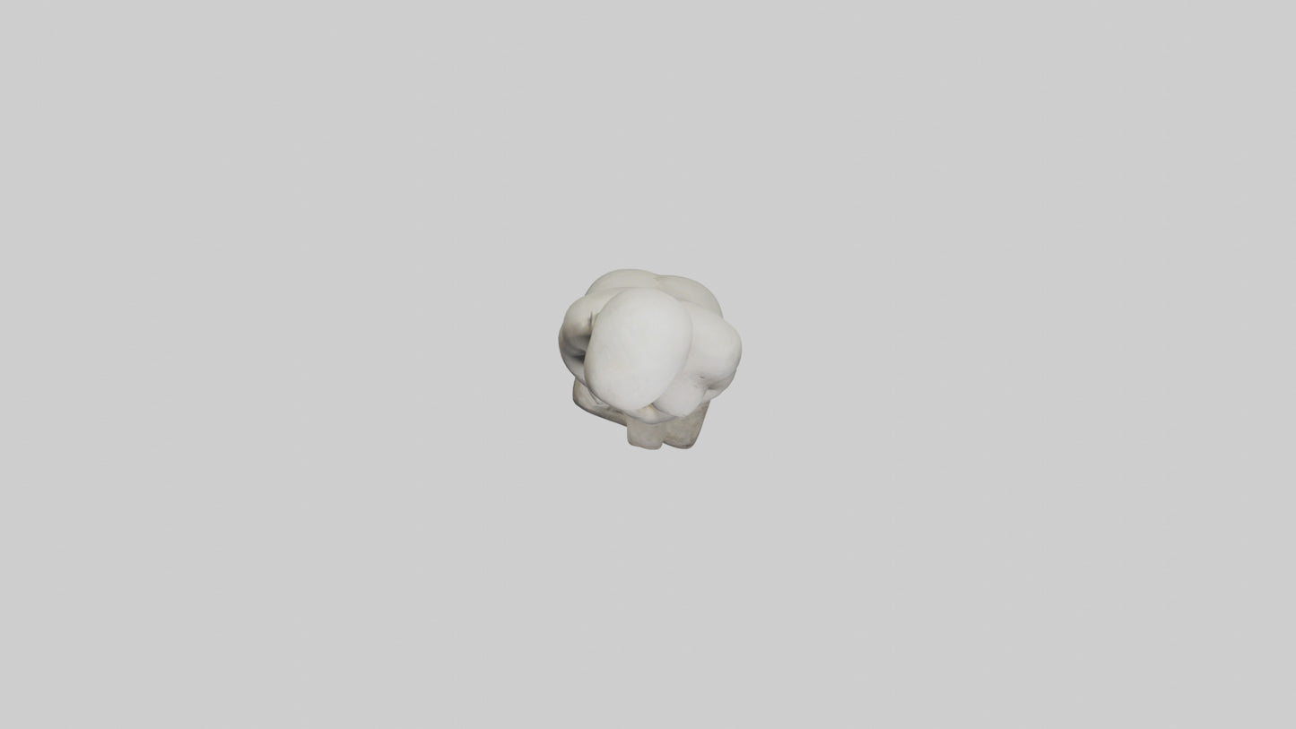 Natural Shape Form statue model VR / AR / low-poly