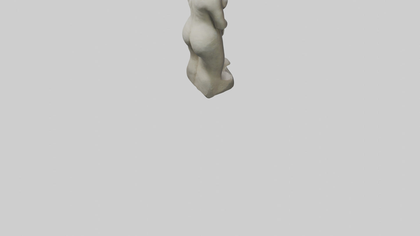 Natural Shape Form statue model VR / AR / low-poly