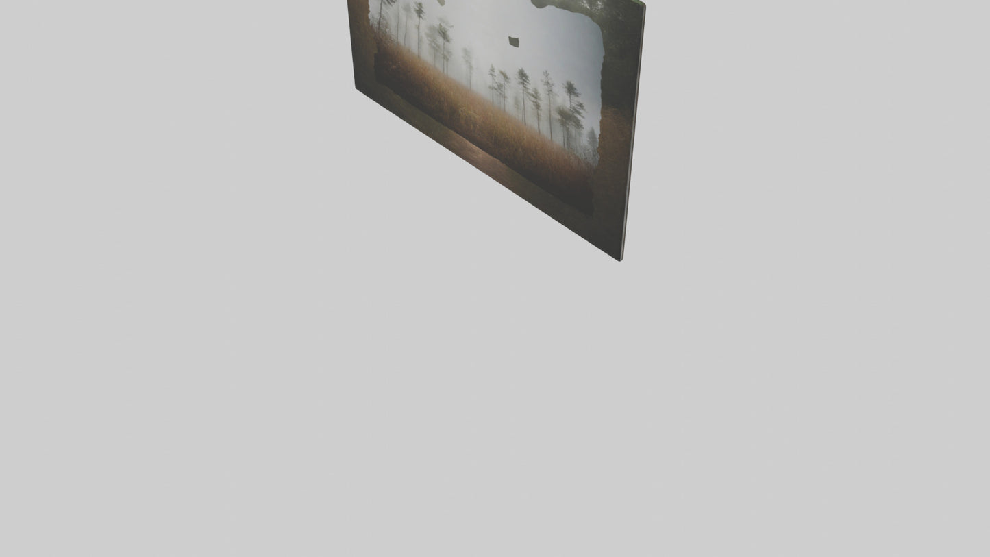 3D model Nature Photography Prints VR / AR / low-poly