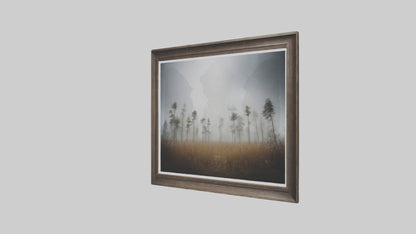 3D model Nature Photography Prints VR / AR / low-poly