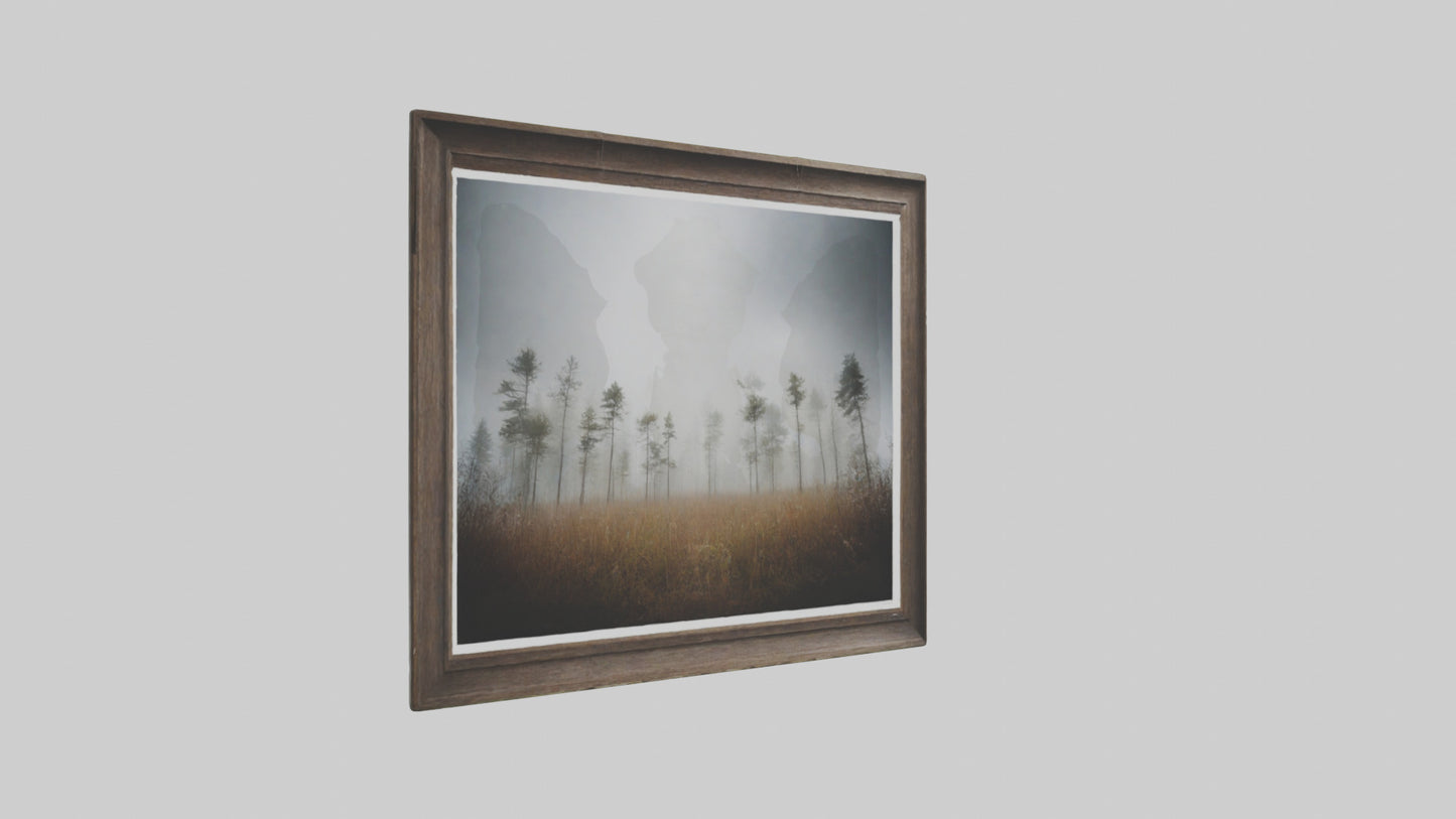 3D model Nature Photography Prints VR / AR / low-poly