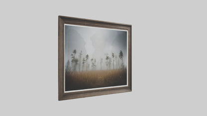 3D model Nature Photography Prints VR / AR / low-poly