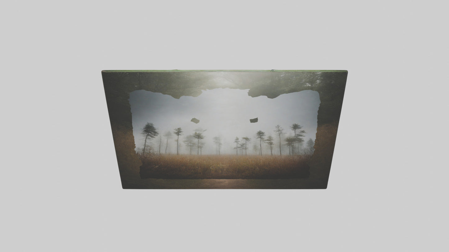 3D model Nature Photography Prints VR / AR / low-poly