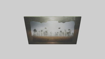 3D model Nature Photography Prints VR / AR / low-poly