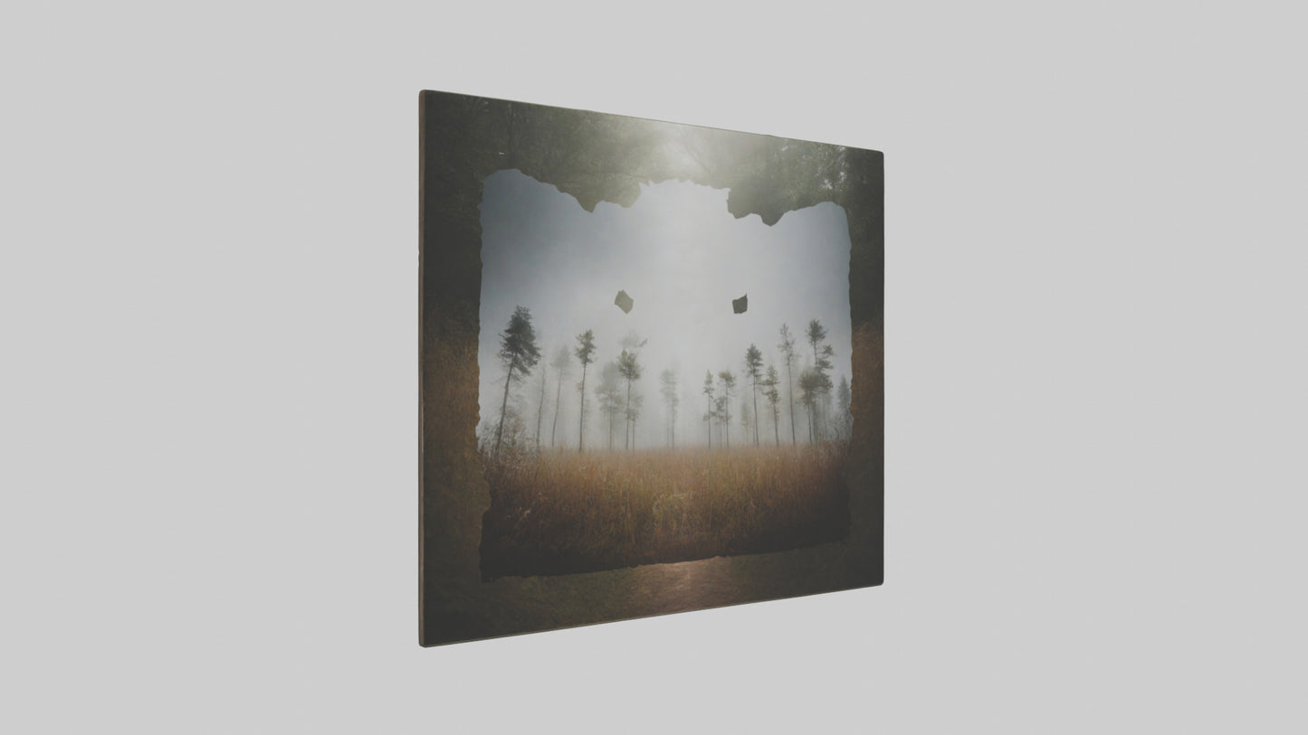 3D model Nature Photography Prints VR / AR / low-poly