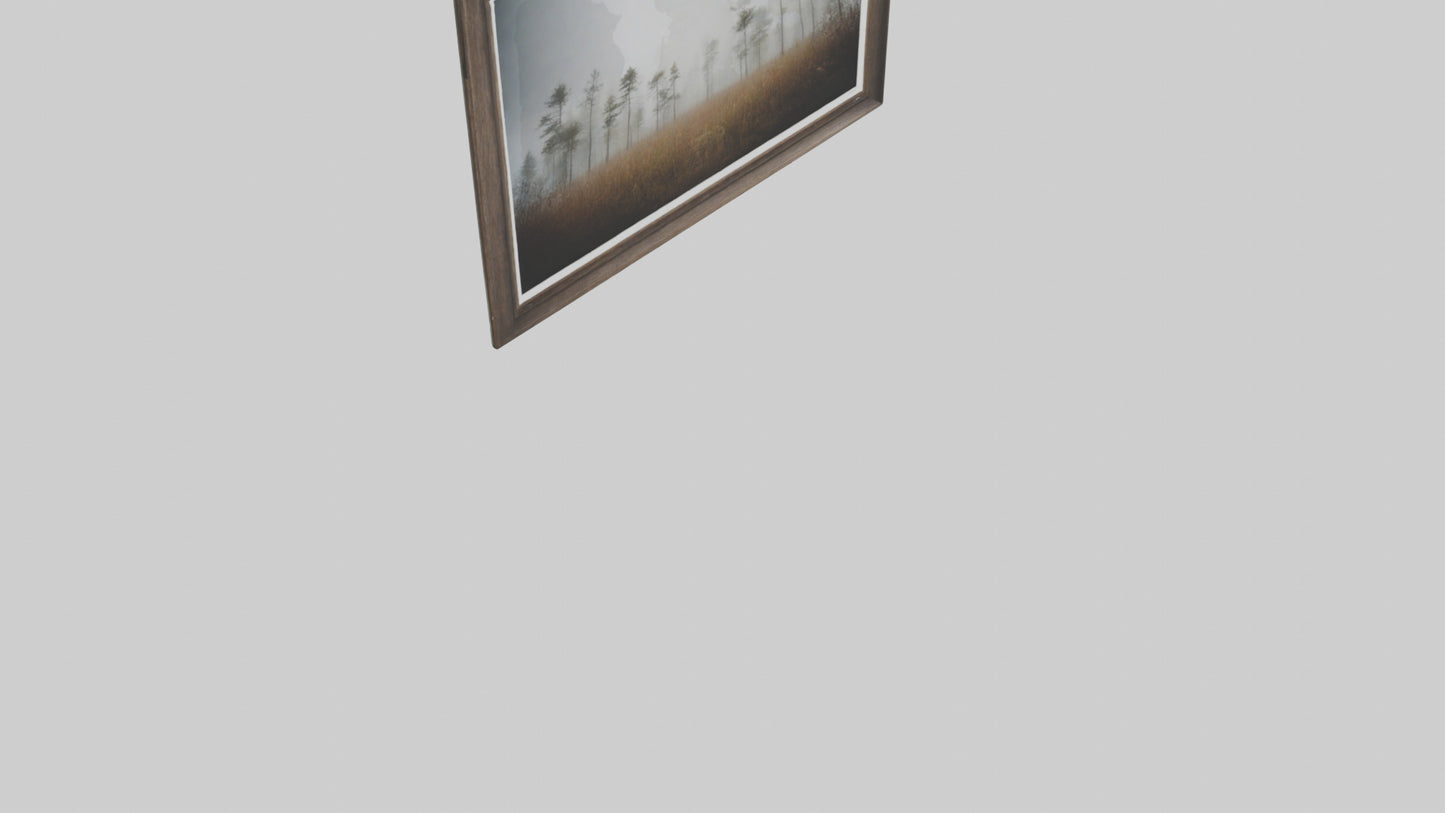 3D model Nature Photography Prints VR / AR / low-poly