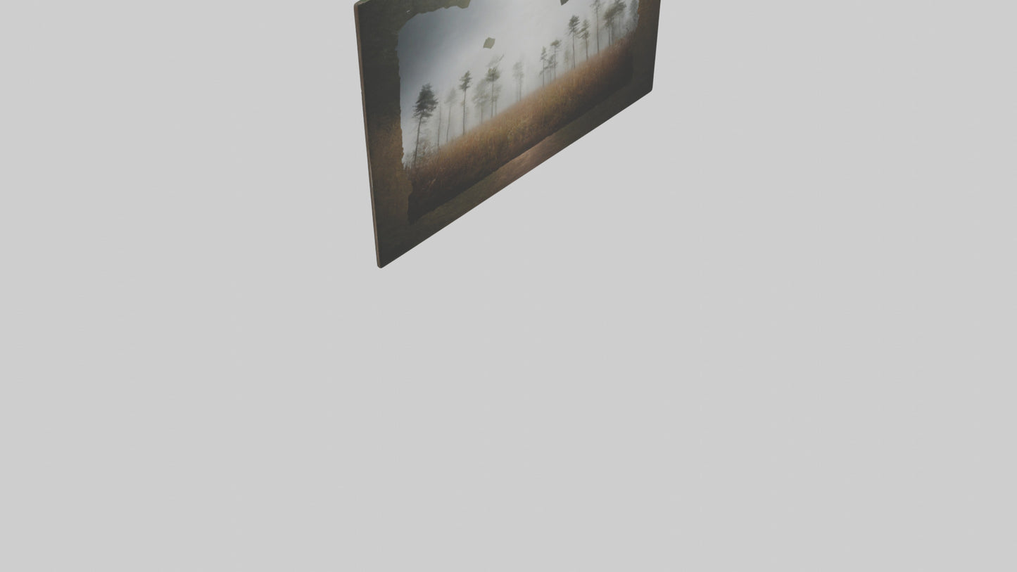 3D model Nature Photography Prints VR / AR / low-poly