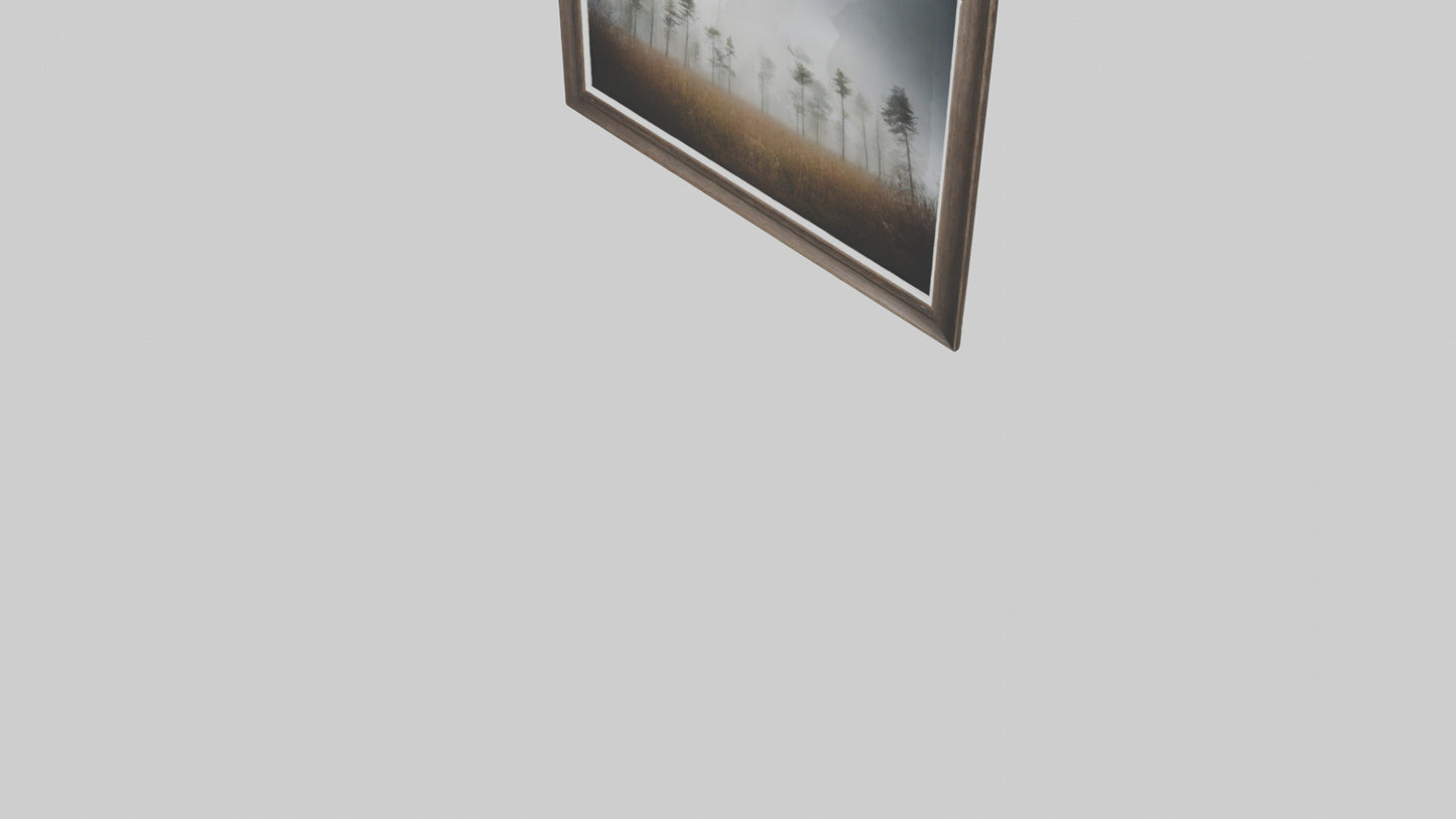 3D model Nature Photography Prints VR / AR / low-poly