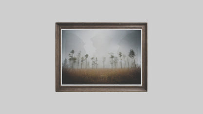 3D model Nature Photography Prints VR / AR / low-poly