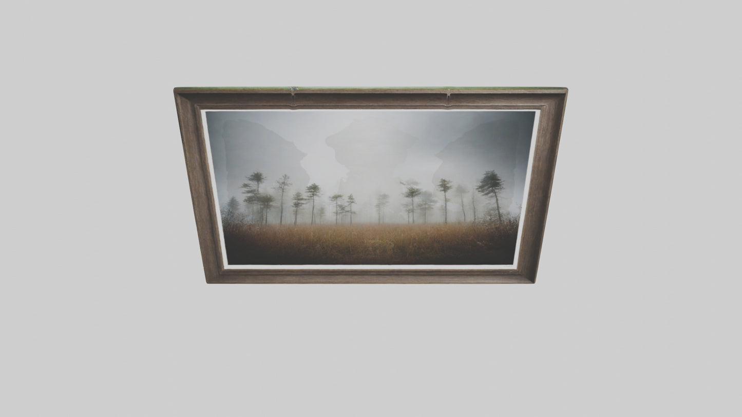 3D model Nature Photography Prints VR / AR / low-poly