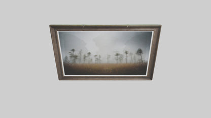 3D model Nature Photography Prints VR / AR / low-poly