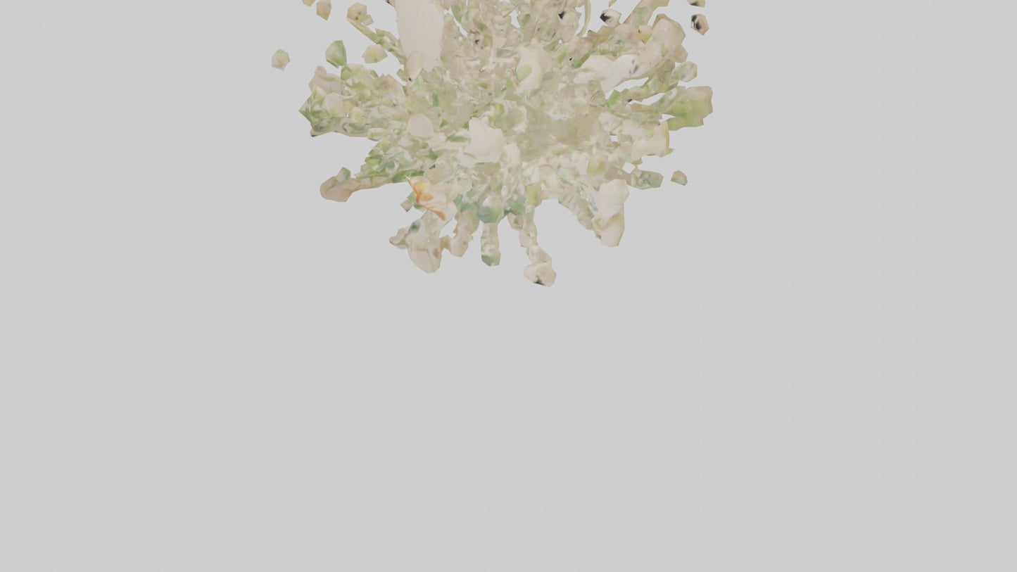 3D model Natureinspired Wall Stickers 2 VR / AR / low-poly