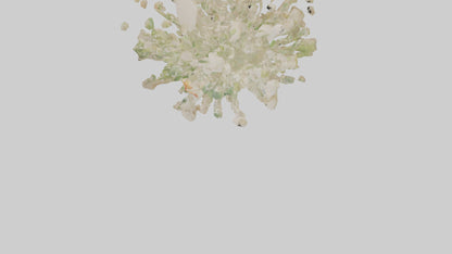 3D model Natureinspired Wall Stickers 2 VR / AR / low-poly