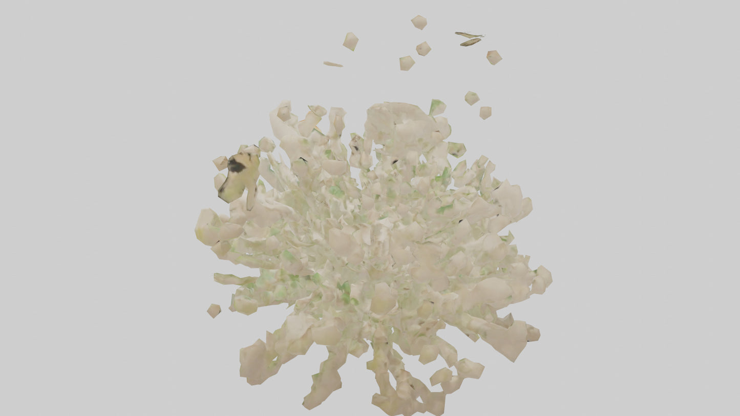 3D model Natureinspired Wall Stickers 2 VR / AR / low-poly